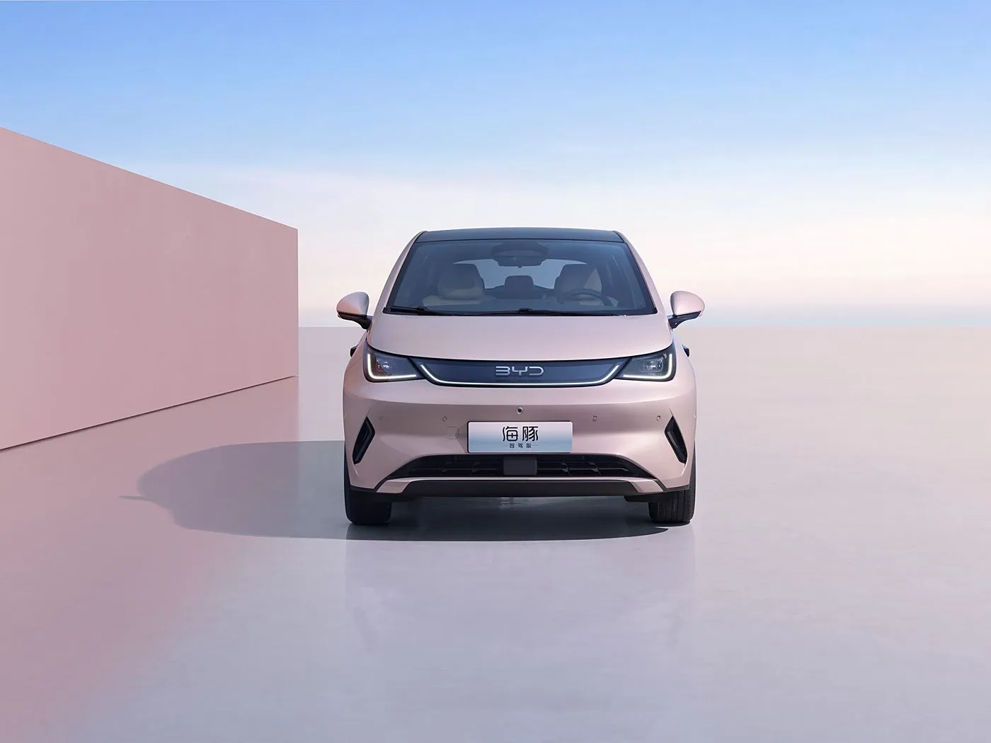 BYD Dolphin Urban Style Mini Electric Hatchback Fashion Edition з інтэлектуальнай тэхналогіяй New Energy Vehicle