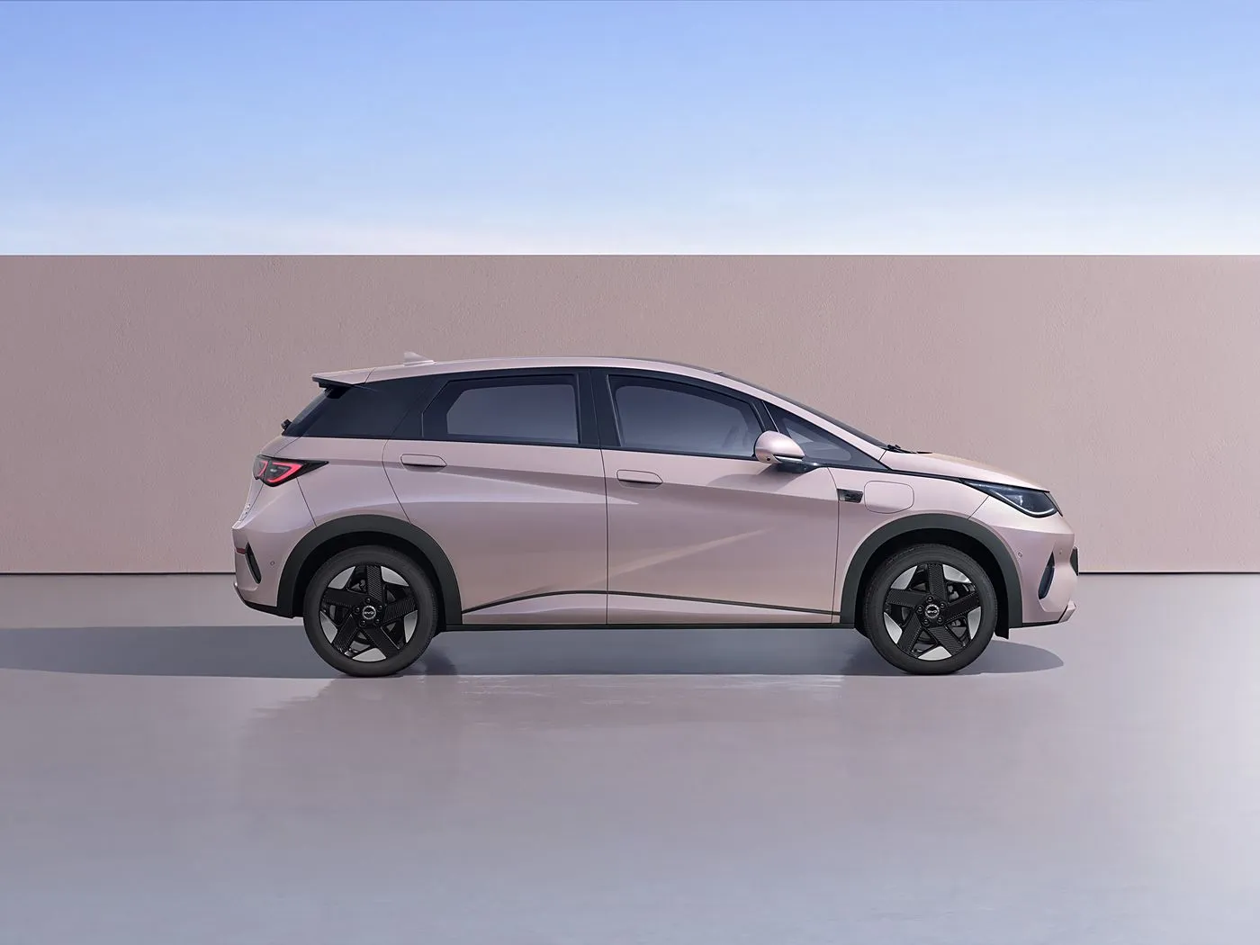 BYD Dolphin Urban Style Mini Electric Hatchback Fashion Edition з інтэлектуальнай тэхналогіяй New Energy Vehicle