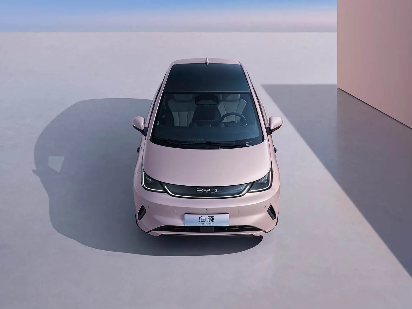 BYD Dolphin Urban Style Mini Electric Hatchback Fashion Edition з інтэлектуальнай тэхналогіяй New Energy Vehicle
